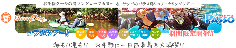 西表島マングローブカヌー&キャニオニング体験ツアー