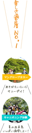 西表島マングローブカヌー&キャニオニング体験
