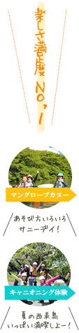 西表島マングローブカヌー&キャニオニング体験ツアー