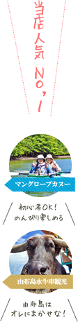 西表島マングローブカヌー&由布島水牛車観光
