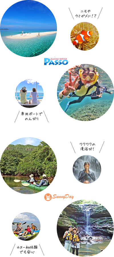 西表島洞窟探検