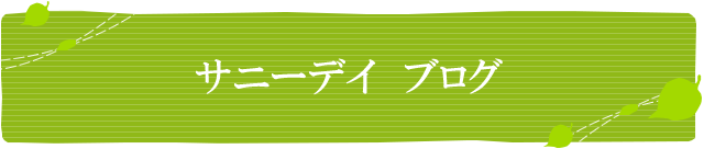 西表島チョウ図鑑2 西表島カヌー トレッキングのツアーガイド サニーデイ