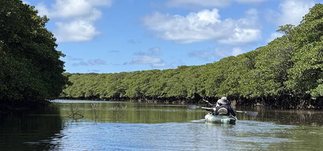 西表島ピナイサーラの滝カヌーツアー