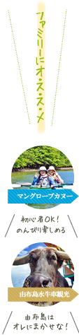 西表島マングローブカヌー&由布島水牛車観光ツアー