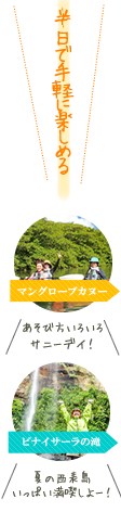 西表島マングローブカヌーショートコース(半日)ツアー