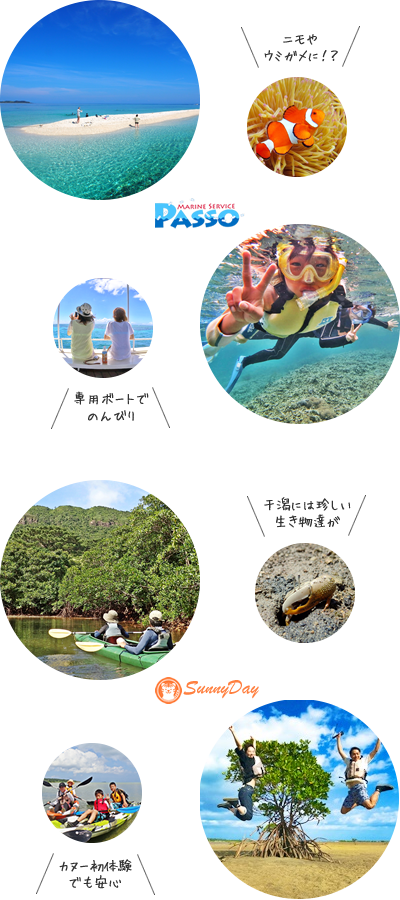 西表島シュノーケリング