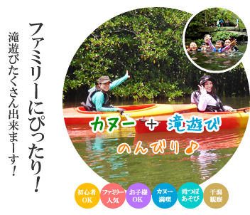 マングローブカヌーファミリー向けツアー