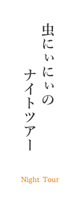 ⾍にぃにぃのナイトツアー