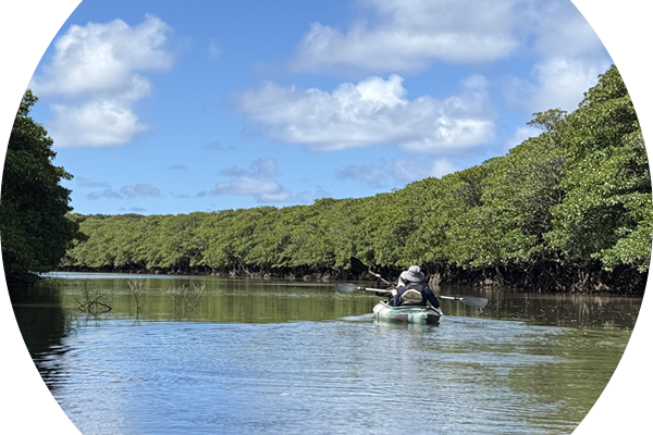 西表島-R50限定-大人のピナイサーラの滝カヌー&トレッキング