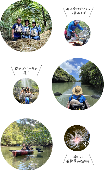 西表島-R50限定- 大人のピナイサーラの滝カヌー&トレッキング写真