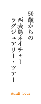 西表島-R50限定-大人のピナイサーラの滝カヌー&トレッキング