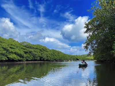 西表島大人のカヌー体験