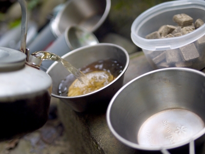 植物・生物の写真