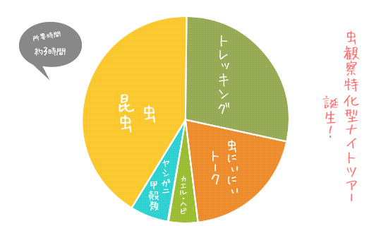 西表島ナイトツアー