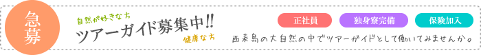 西表島カヌー＆トレッキングツアーガイドのスタッフ募集
