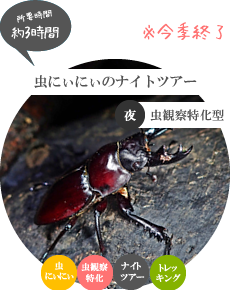 西表島ナイトツアー