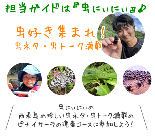 虫にぃにぃと行く西表島カヌー&トレッキング生き物観察ツアー