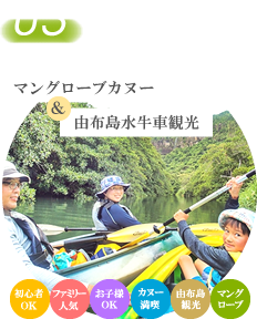 マングローブカヌー＆由布島水牛車観光