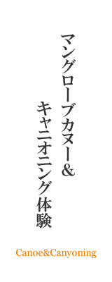 マングローブカヌー＆キャニオニング体験