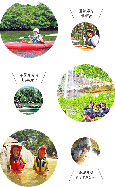 西表島マングローブカヌー・ショートコース写真