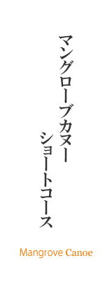 西表島マングローブカヌー・ショートコース