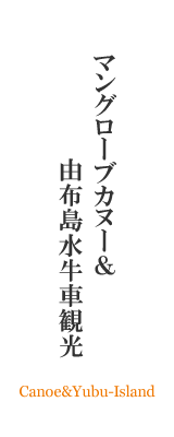 マングローブカヌー&由布島水牛車観光
