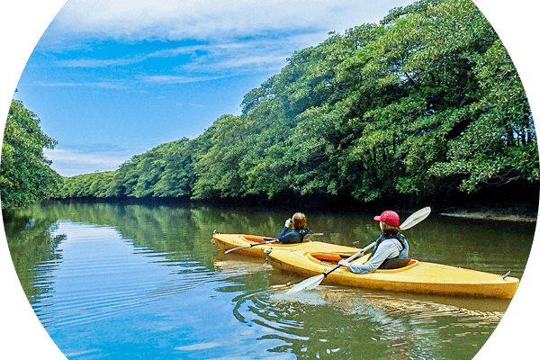 西表島カヌー＆トレッキングツアーよくある質問