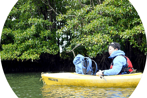 西表島サニーデイについて