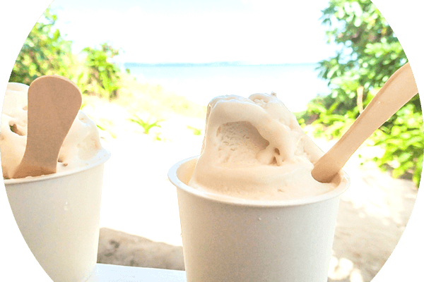 西表島カヌー&トレッキングツアー|サニーデイ お知らせ