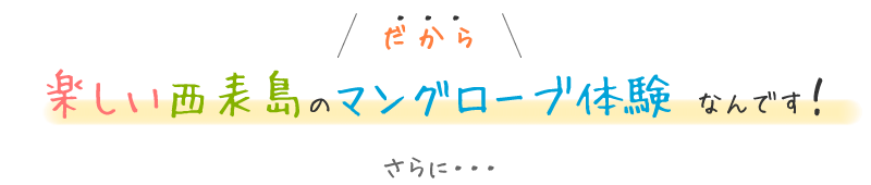 楽しい西表島