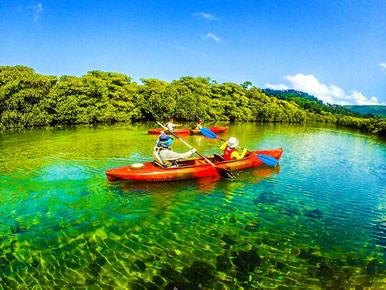 西表島カヌーツアー写真