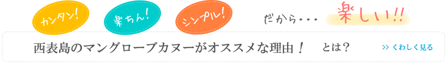 西表島のマングローブカヌーがオススメな理由とは？