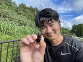 虫にぃにぃ